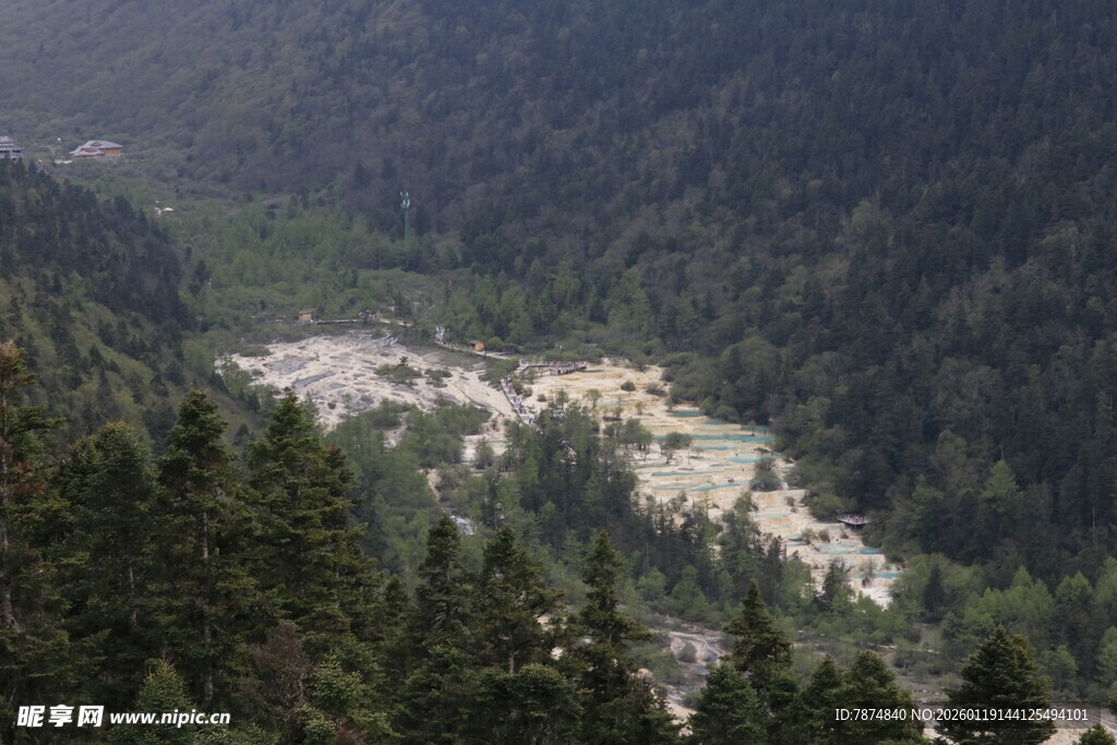山间河谷森林景观