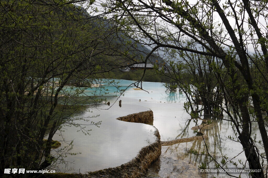 林间蓝白相间的静谧水域