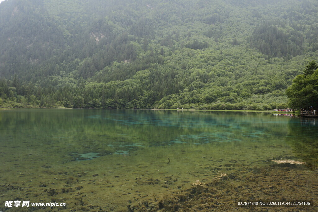 山间清湖 绿意环绕之景