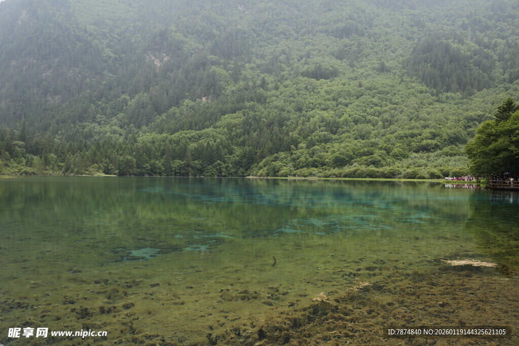 山间幽湖 绿意环绕的静谧之景