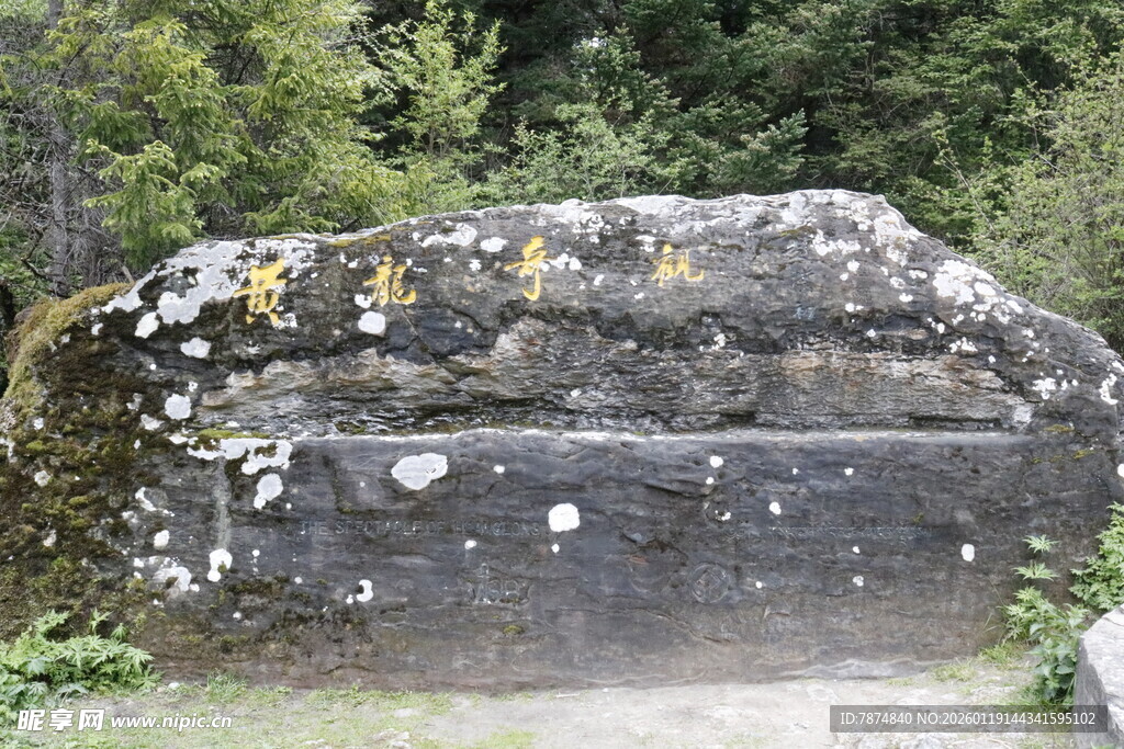 古老石棺置于自然环境中