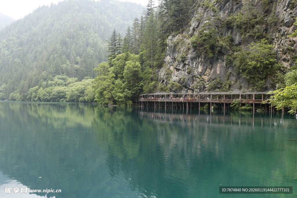 青山绿水间的宁静栈道
