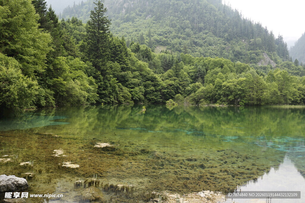 山间清潭 绿意环绕的美景