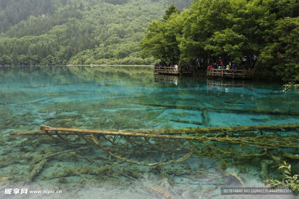 清澈碧绿的山间幽美湖水