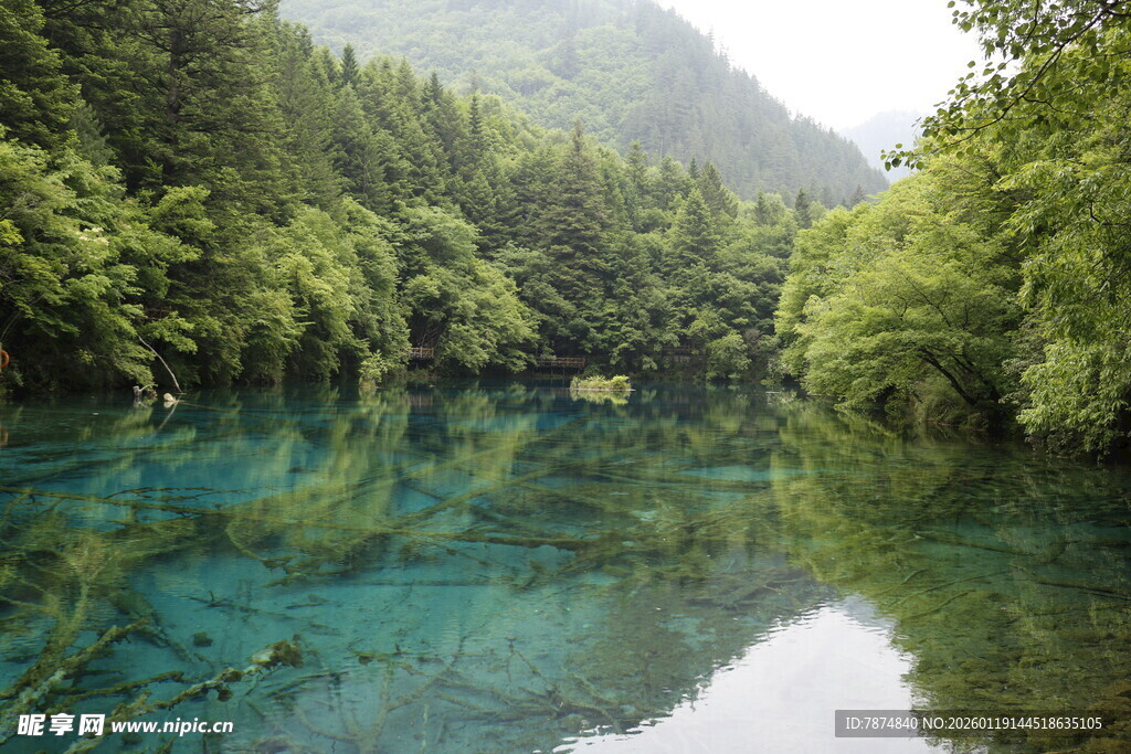 青山绿水间的澄澈幽潭