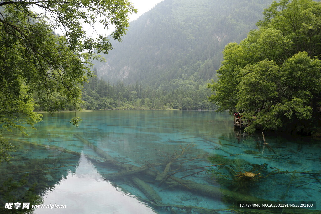 青山绿水间的澄澈溪流