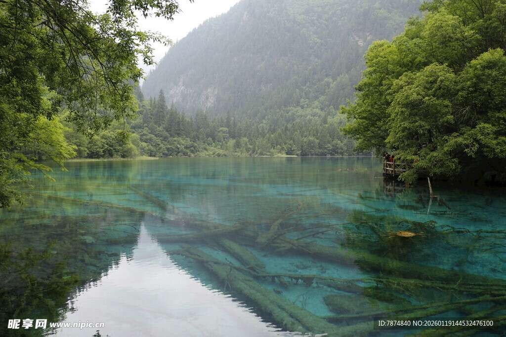 青山绿水间的澄澈幽潭