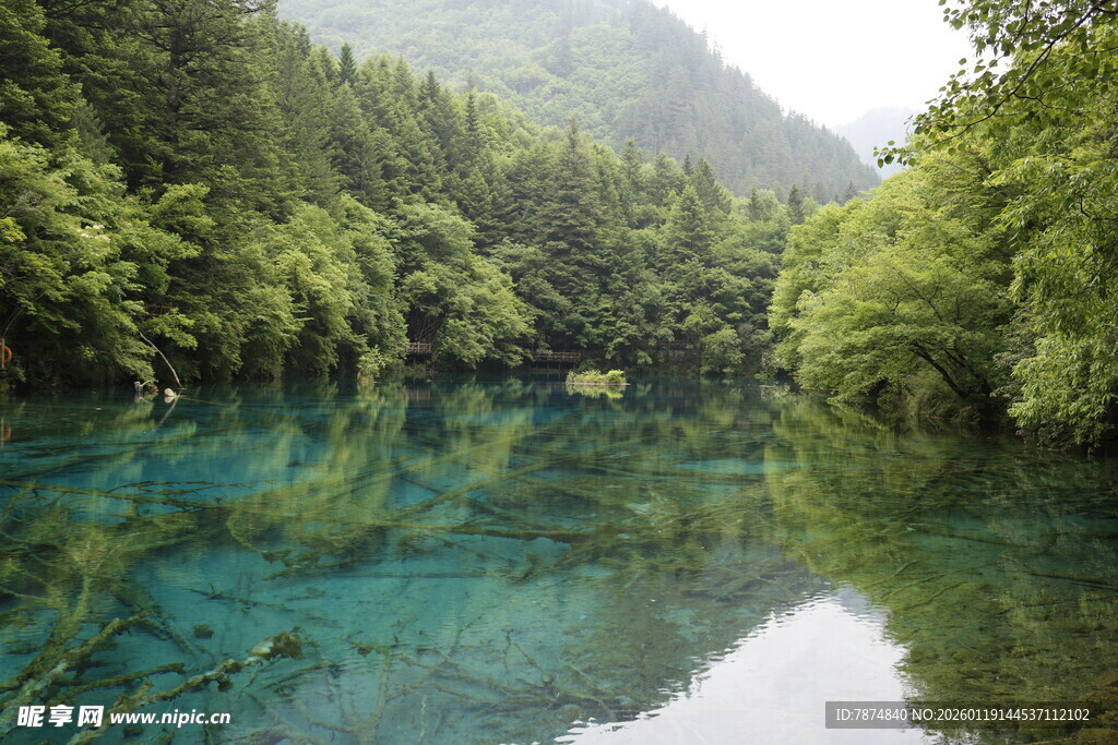 青山绿水间的澄澈幽潭