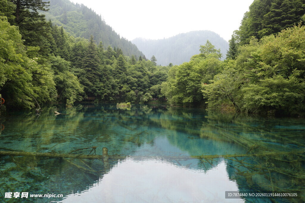 青山绿水间的澄澈幽潭