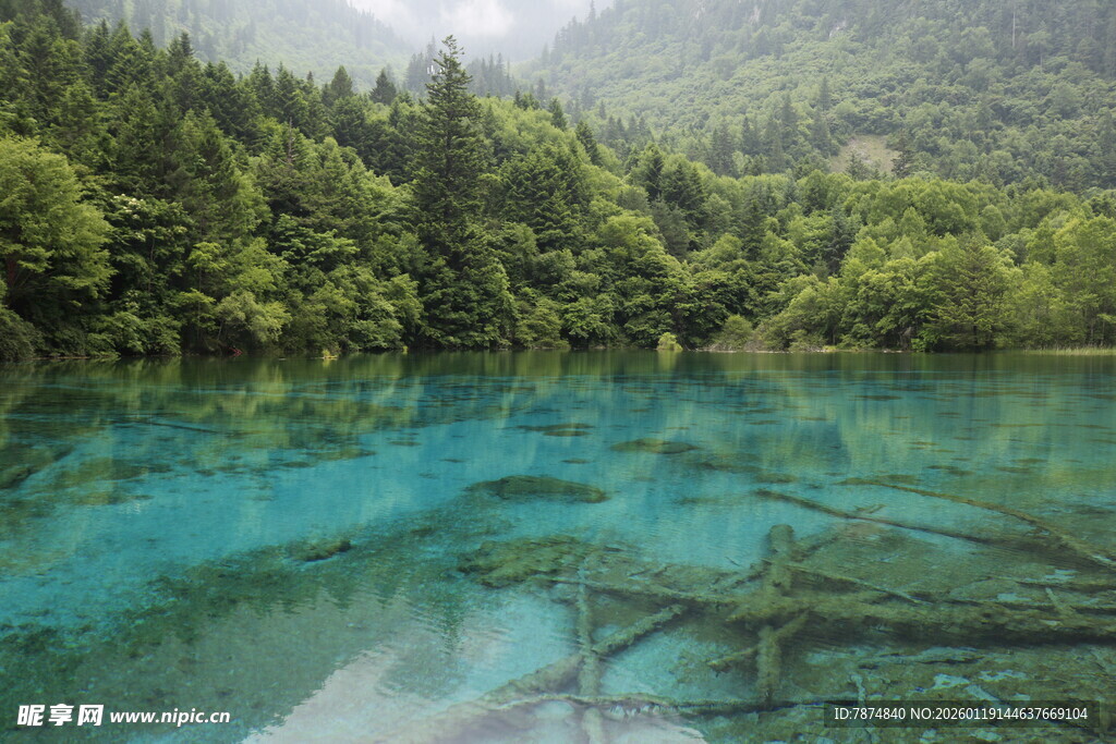 梦幻蓝湖伴葱郁山林