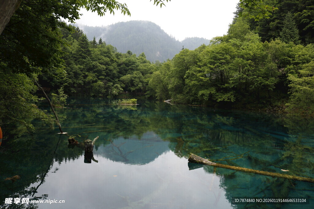 青山绿水间的静谧幽潭