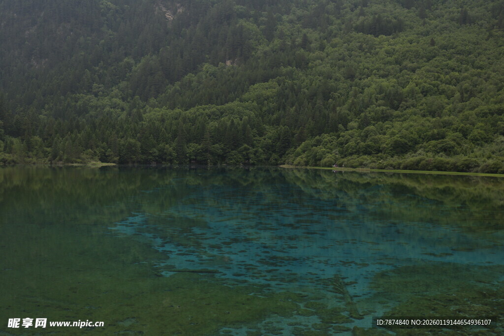 翠绿山林间的幽蓝湖水