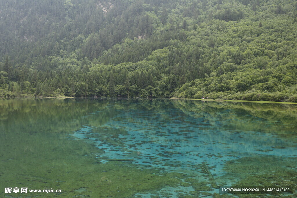 翠绿山林间的幽蓝湖水