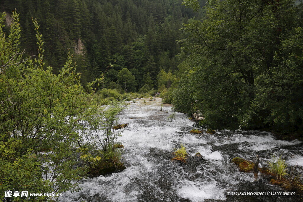 山间溪流 绿意盎然的景致