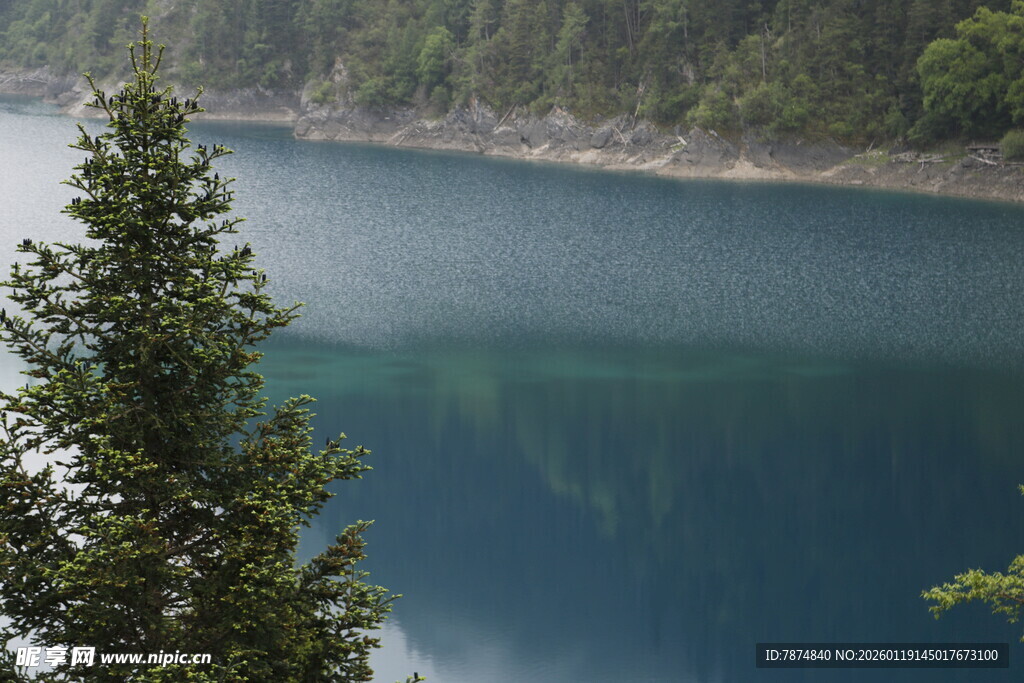 湖畔青松 澄澈幽蓝湖水