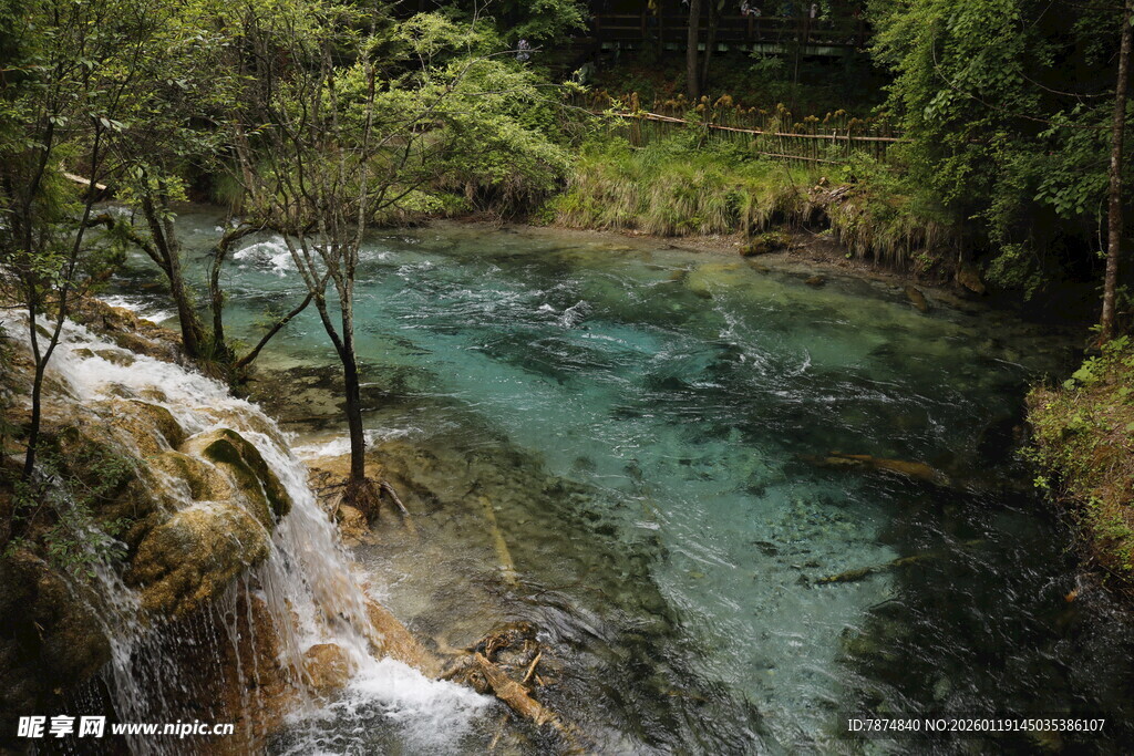 山间清澈溪流美景