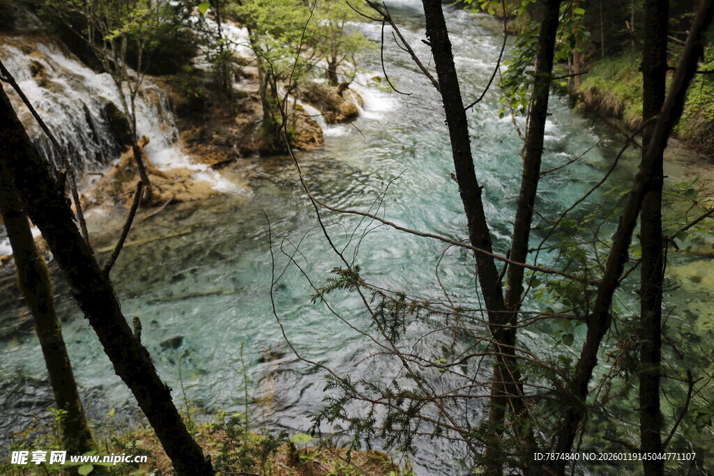 山间溪流 林木环绕之景