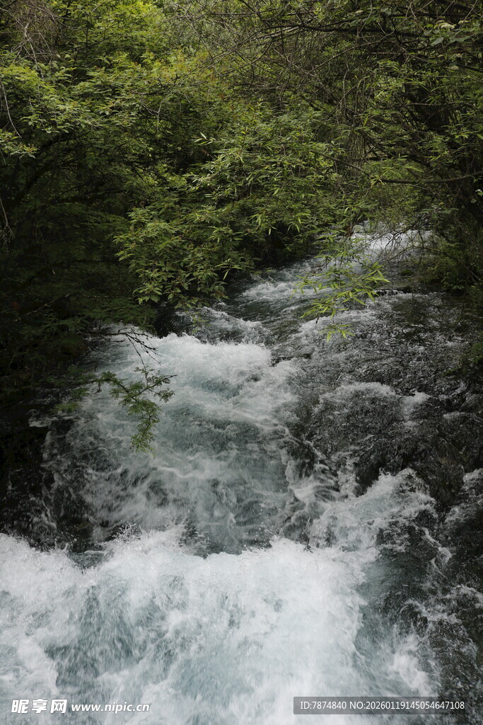 山间溪流奔腾的自然美景