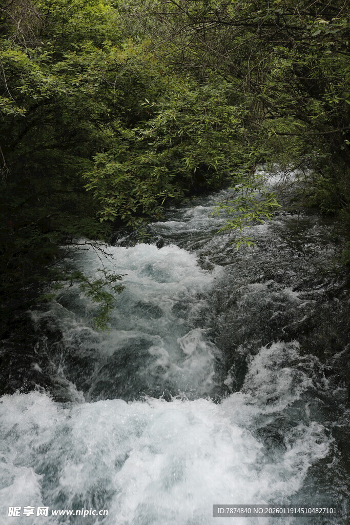 山间湍急溪流