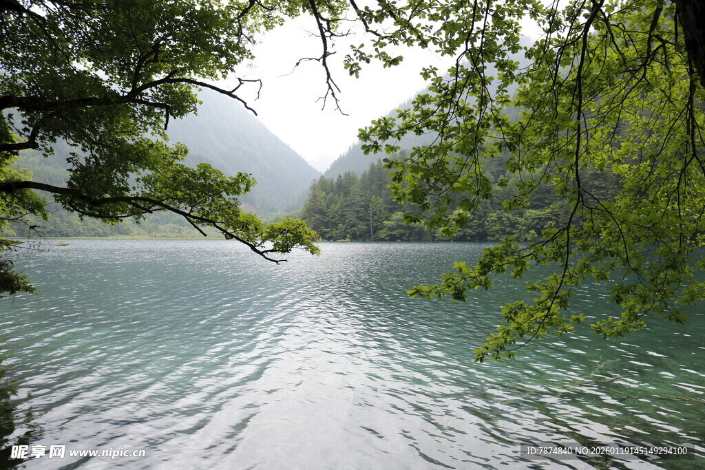 湖畔绿荫 山水相映之景