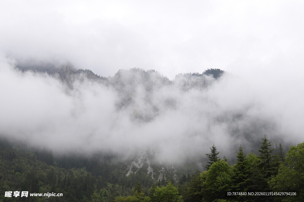 云雾缭绕的山林美景