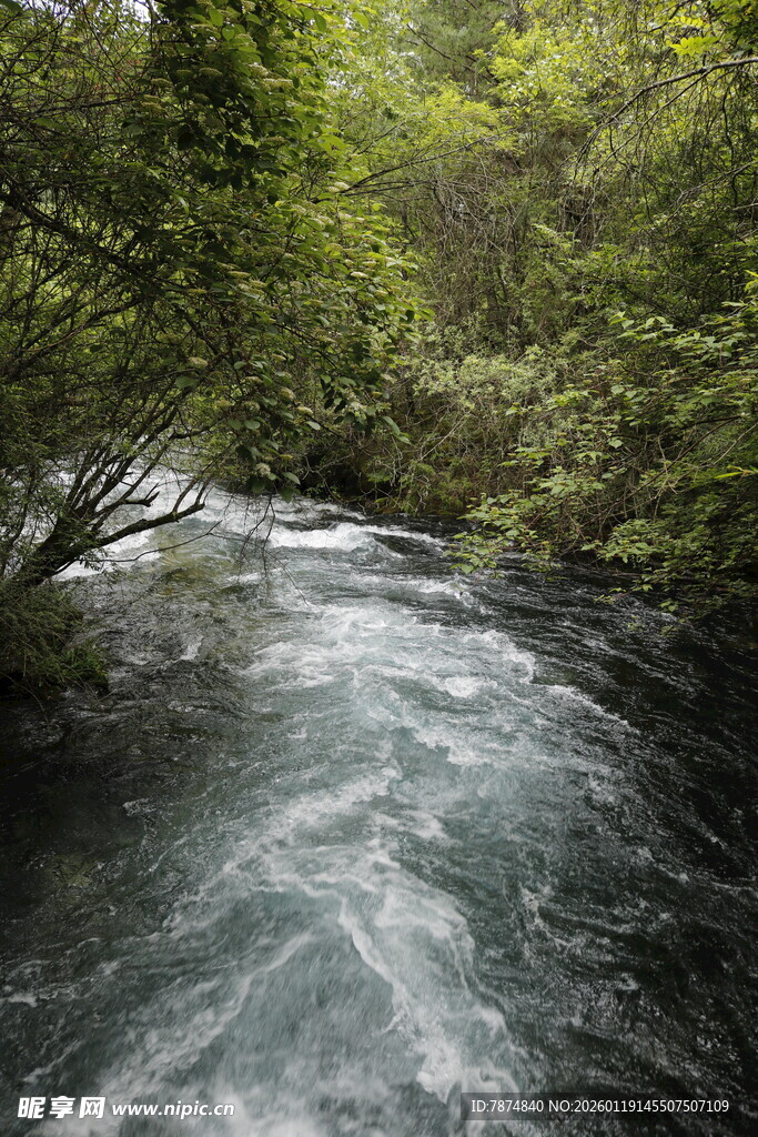 山间湍急溪流 绿意环绕