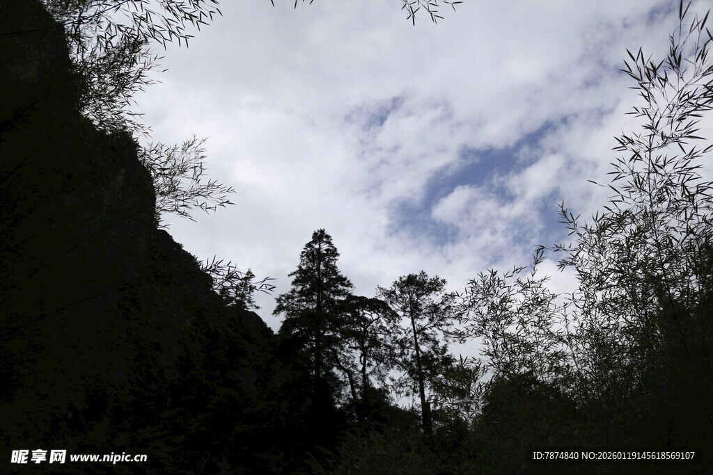 山间树木与蓝天白云景致