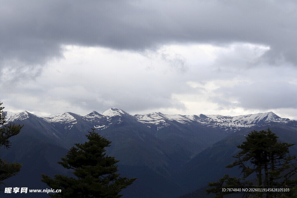 云雾缭绕的雪山与树木