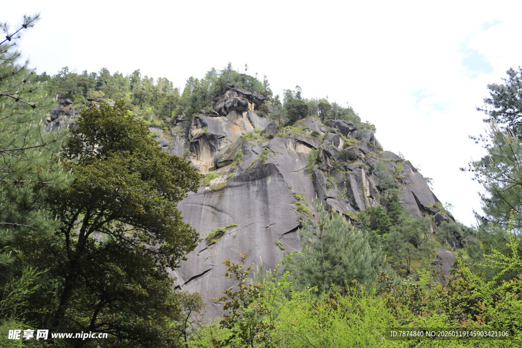 陡峭山壁旁的葱郁植被