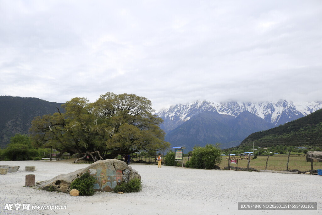 雪山下的开阔自然景观
