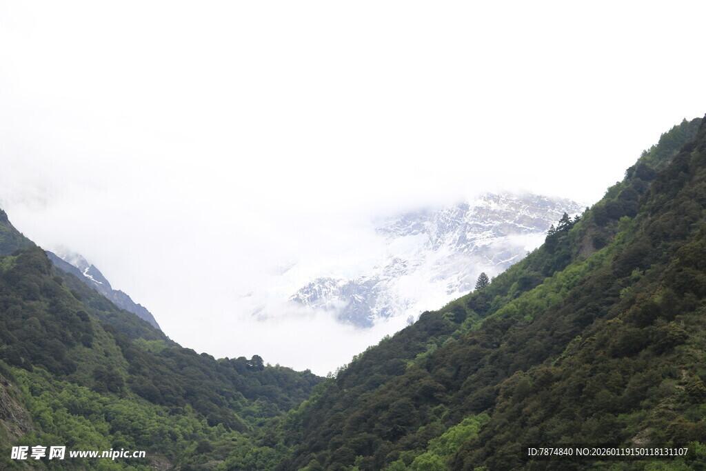 青山幽谷 云雾缭绕之景