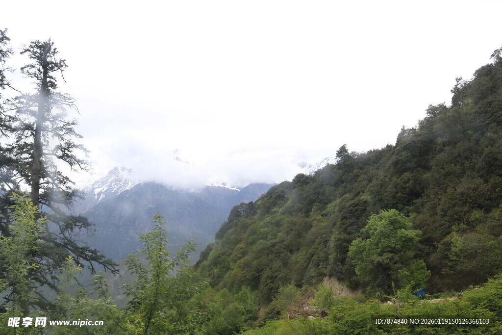 山间绿意盎然的秀丽景致