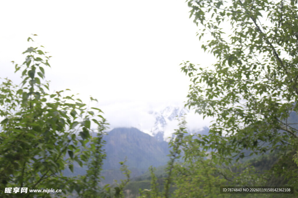 山林绿意 远处山峦隐现