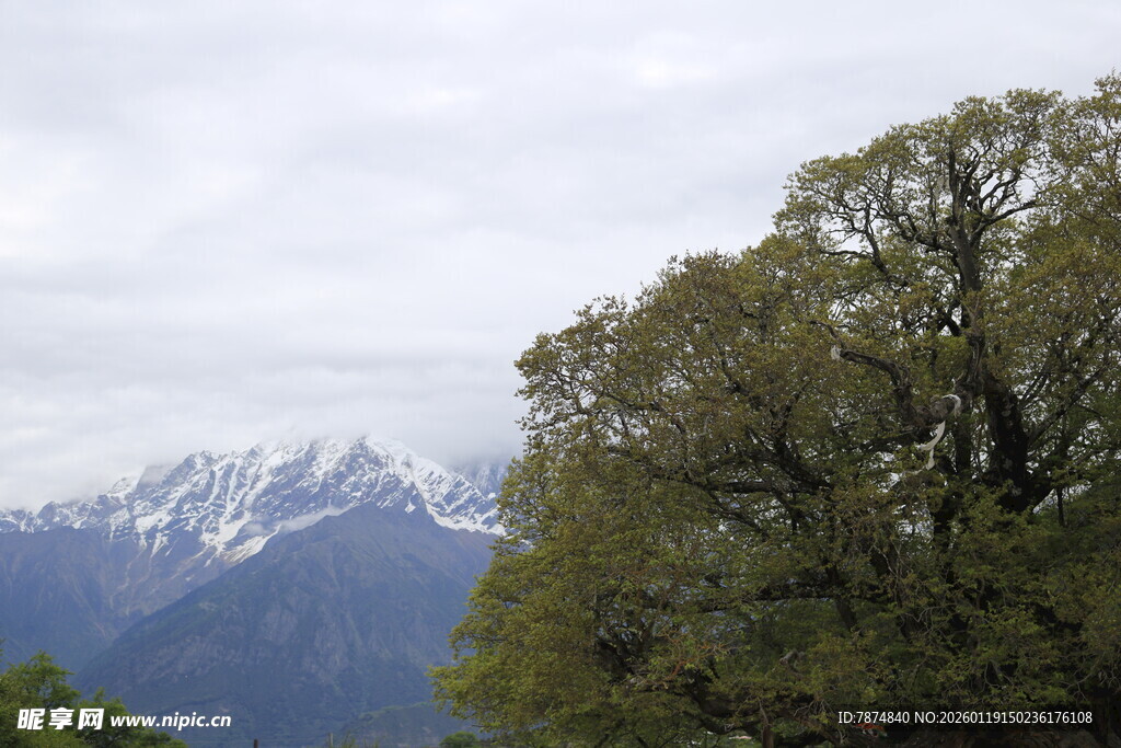 山林间的巍峨雪山