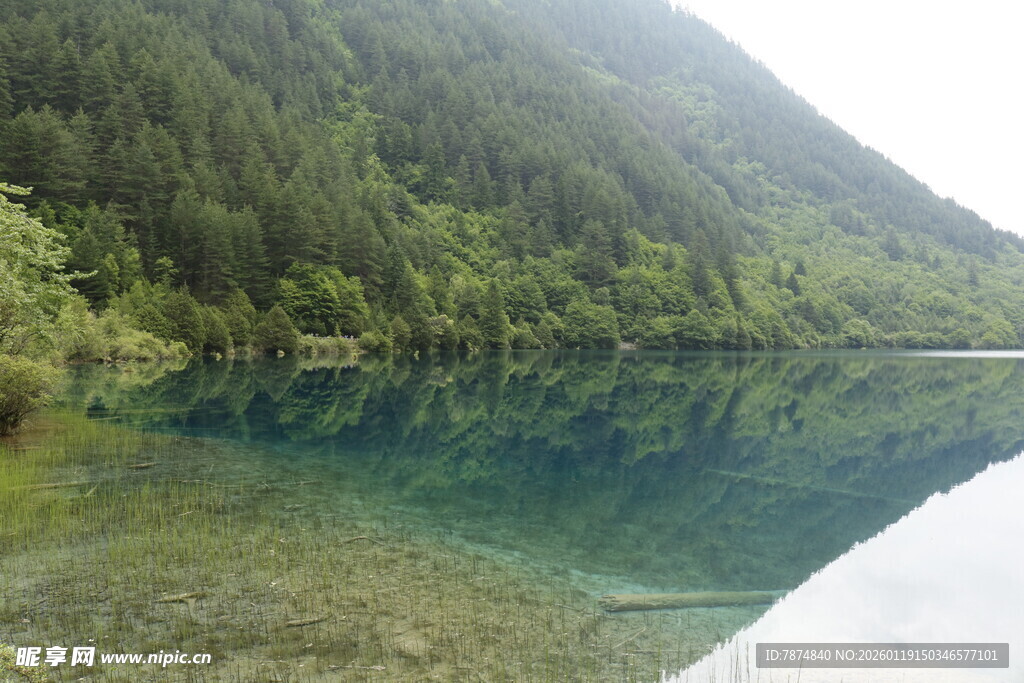 清澈湖水映山林美景