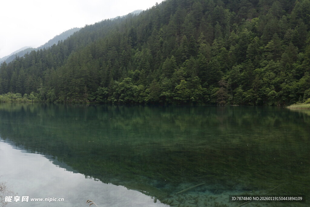 静谧山林间的清澈湖水