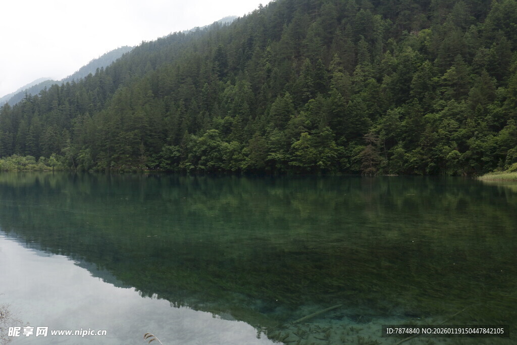静谧山林中的清澈湖水