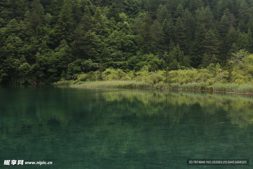 静谧山林中的澄澈湖水