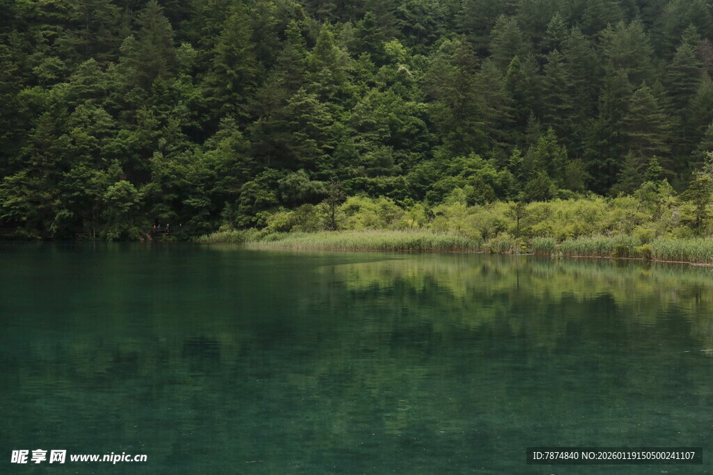静谧山林间的碧绿湖水