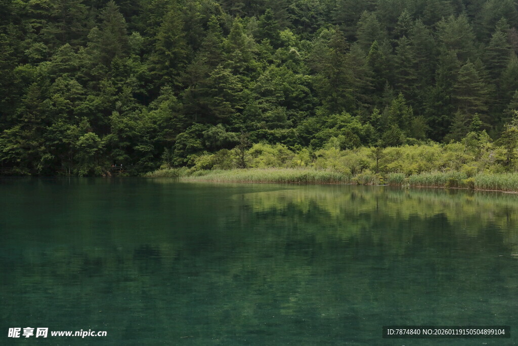静谧山林间的清澈湖水