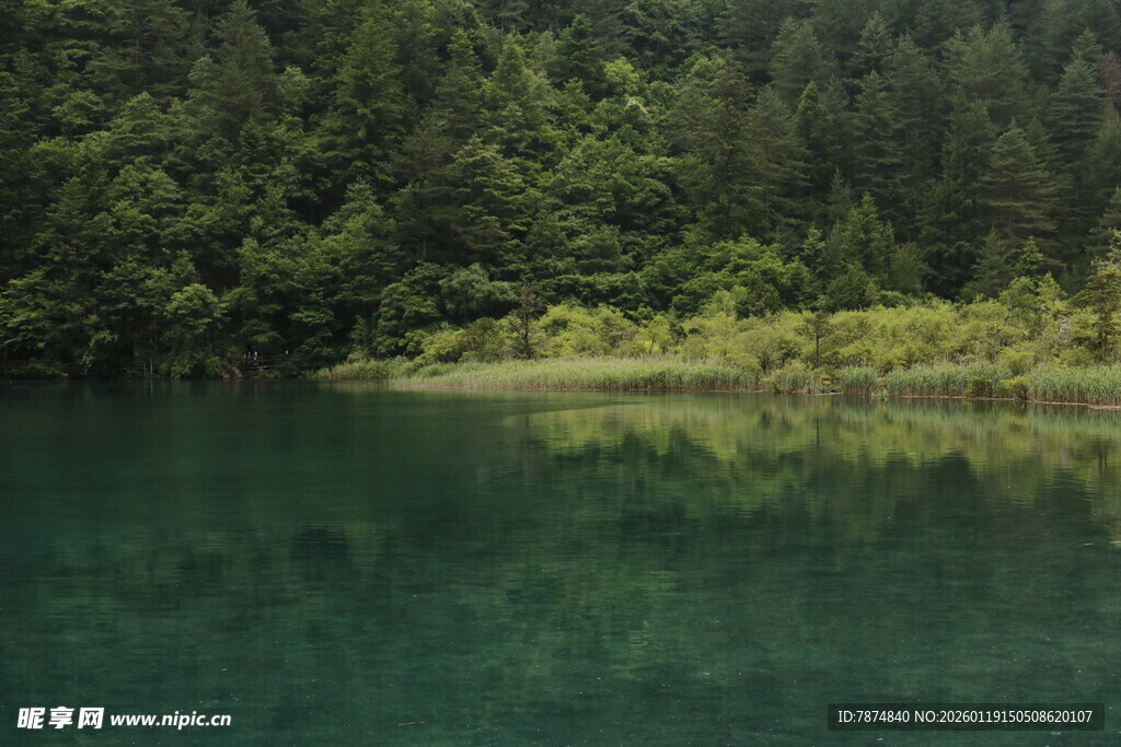 静谧山林间的碧绿湖水