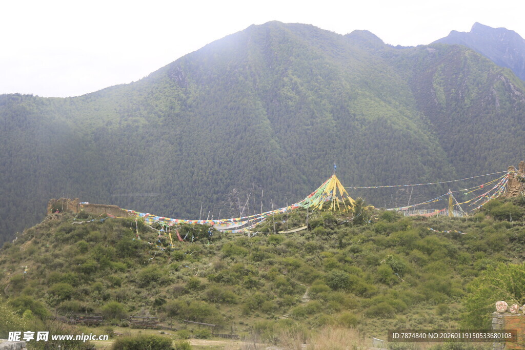 山间建筑隐于葱郁植被间