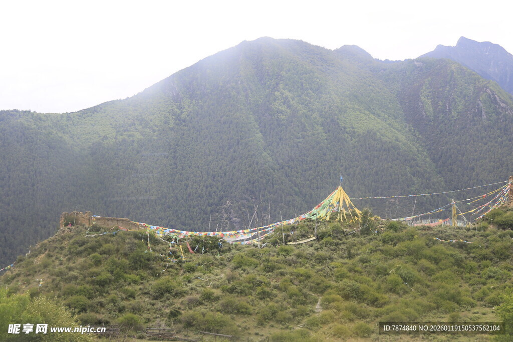 山间帐篷伴绿意美景