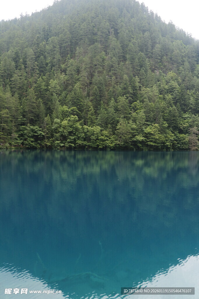 幽蓝湖水伴葱郁山林
