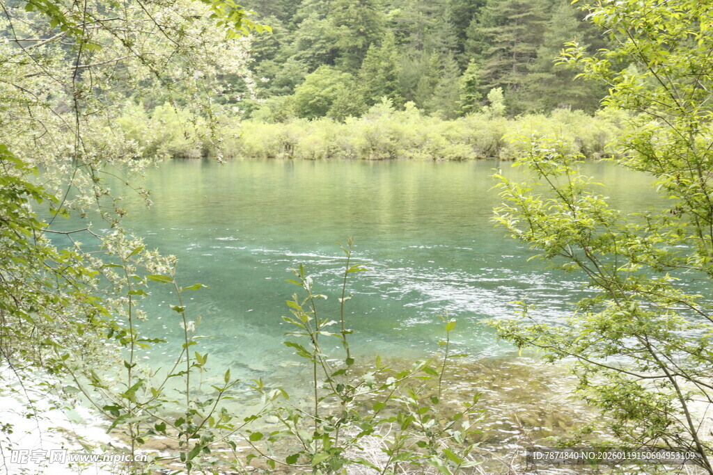 宁静湖畔的自然美景