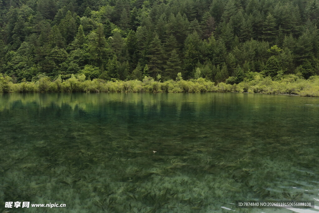 静谧山林旁的清澈湖水