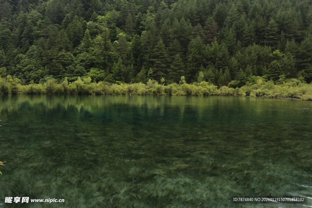 静谧山林间的清澈湖水