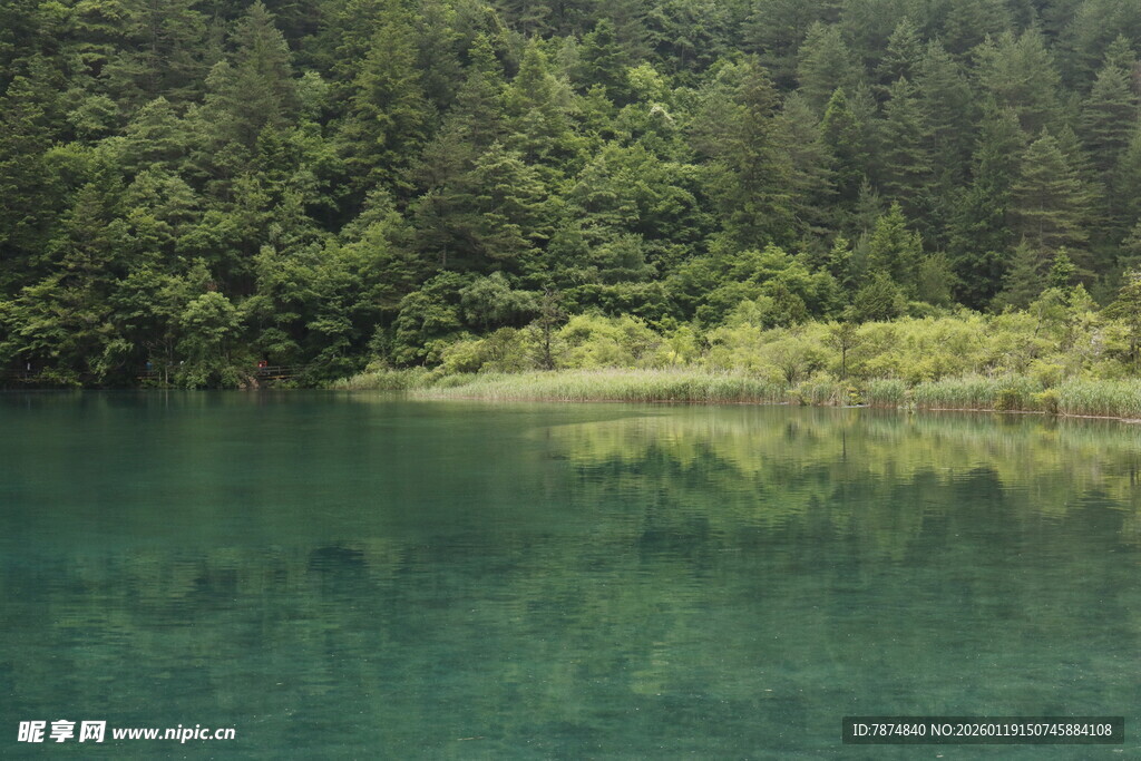 翠绿山林环绕的澄澈湖水