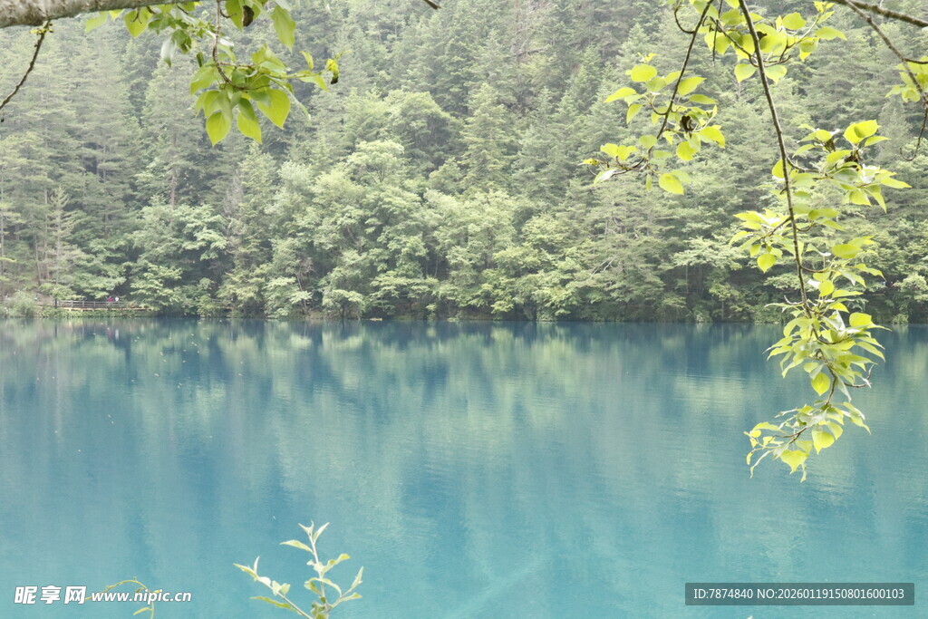 蓝湖翠树的自然美景