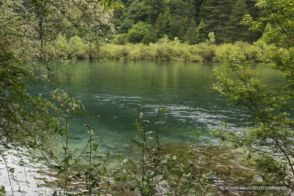 静谧山林中的清澈湖水